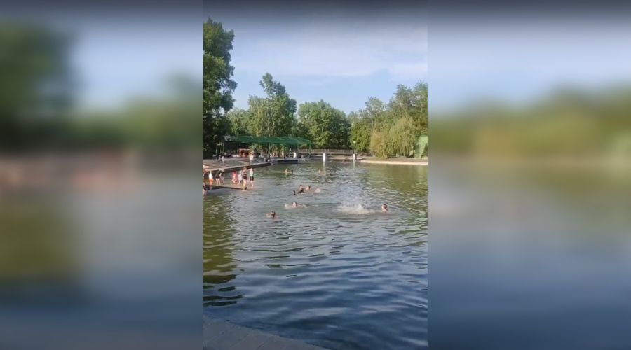 В эти дни пруд буквально кишит детьми