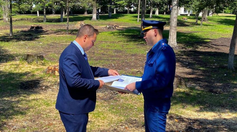Прокуратура одобрила вырубки в центральном сквере Горно-Алтайска