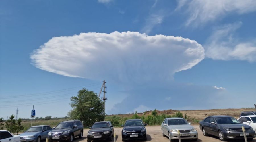 Крупный лесной пожар в Алтайском крае стал поводом для прокурорской проверки
