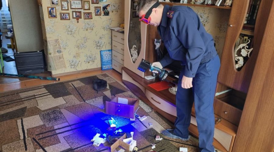 В Республике Алтай будут судить молодого человека за зверское нападение на бабушку и дедушку