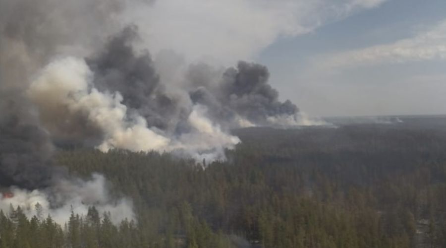 Власти отчитались о полной ликвидации масштабного лесного пожара в Егорьевском районе