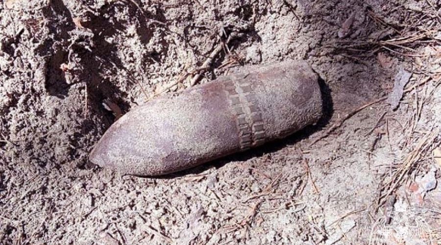 В лесу возле барнаульского поселка нашли бронебойный снаряд