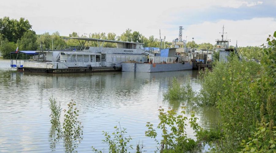 Власти Барнаула проинспектировали поселок Затон на предмет готовности к паводку