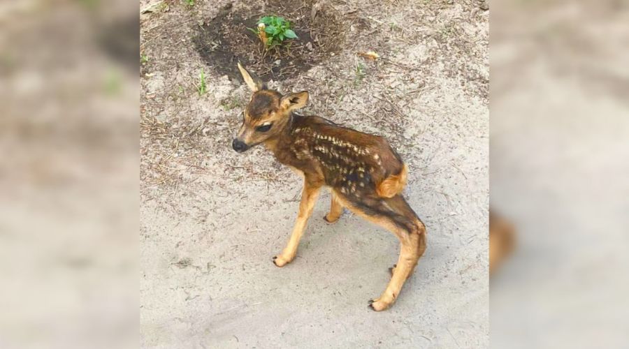 На передышку – к людям