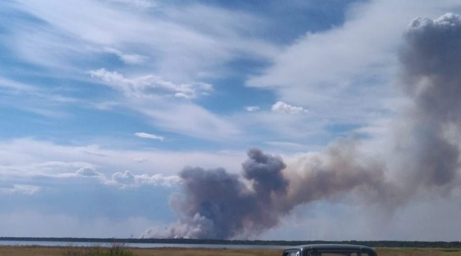 Пожар в Лебяжинском лесничестве