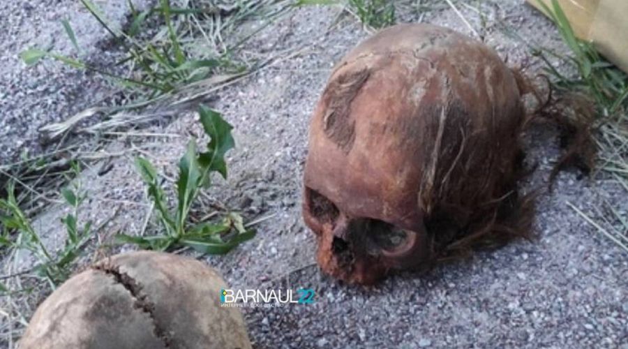 Статус захоронения детей в гробах-колодах определят в Алтайском крае