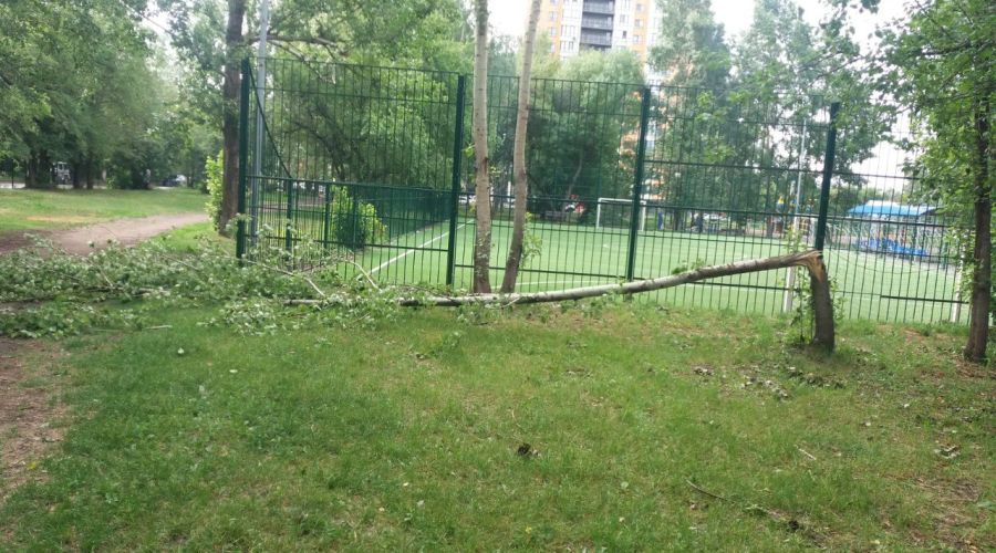 Последствия сильного ветра вечером 27 июня