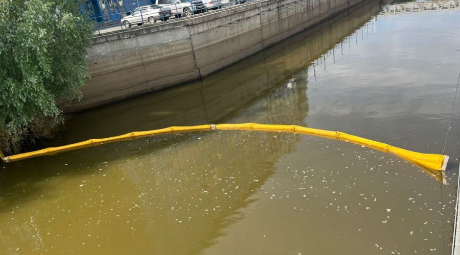 Глава СК РФ затребовал доклад о проверке по факту загрязнения реки нефтепродуктами в Барнауле