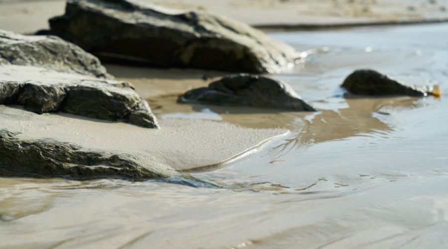 Тело пропавшего мальчика из Бийска обнаружили в реке