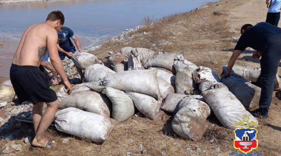 Житель Благовещенского района в суде ответит за вылов трех тонн артемии