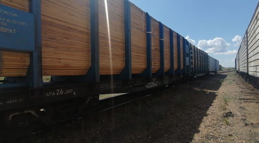 Пограничники предотвратили попытку незаконного вывоза алтайского леса в Казахстан