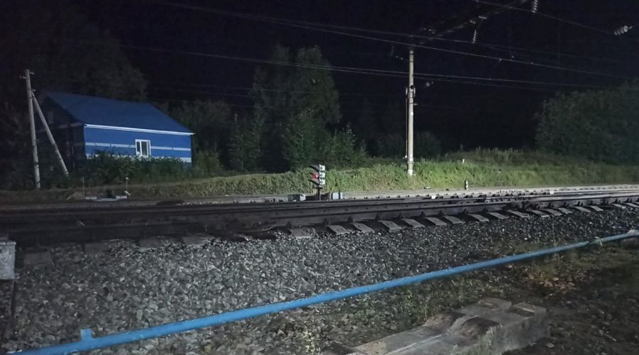 В Алтайском крае правоохранители устанавливают личность погибшего под поездом пешехода