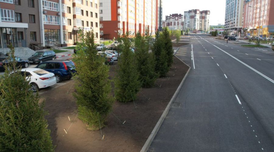 Барнаульцы высказались о дорожных преобразованиях в городе