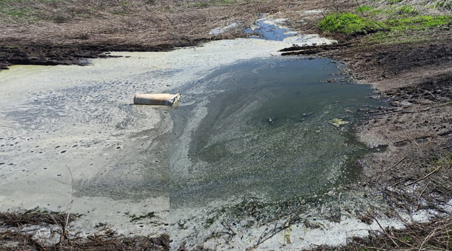 Зловонная река, помойные берега