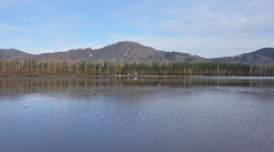 Правоохранители поймали алтайского чиновника на крупной взятке при продаже земли?