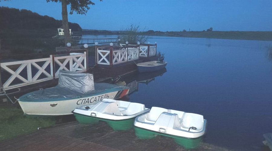 Двое детей впали в кому после неудачного отдыха на водоеме в Алтайском крае (обновлено)