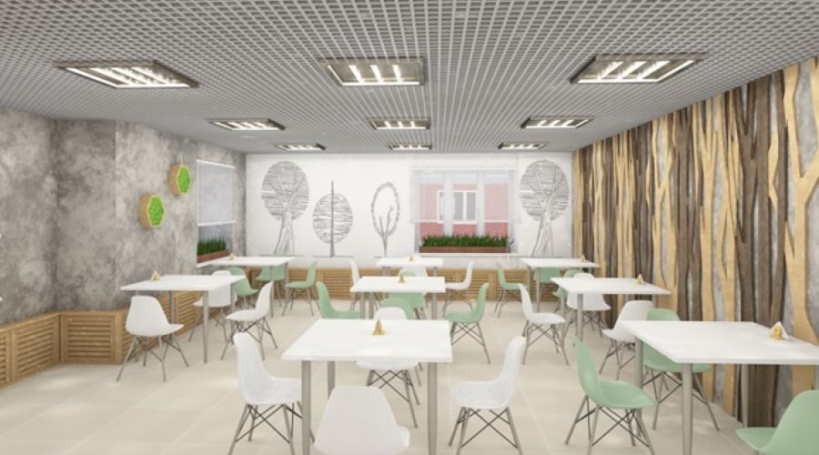 Алтайские чиновники поспешили отказаться от «несогласованного» ремонта своей столовой