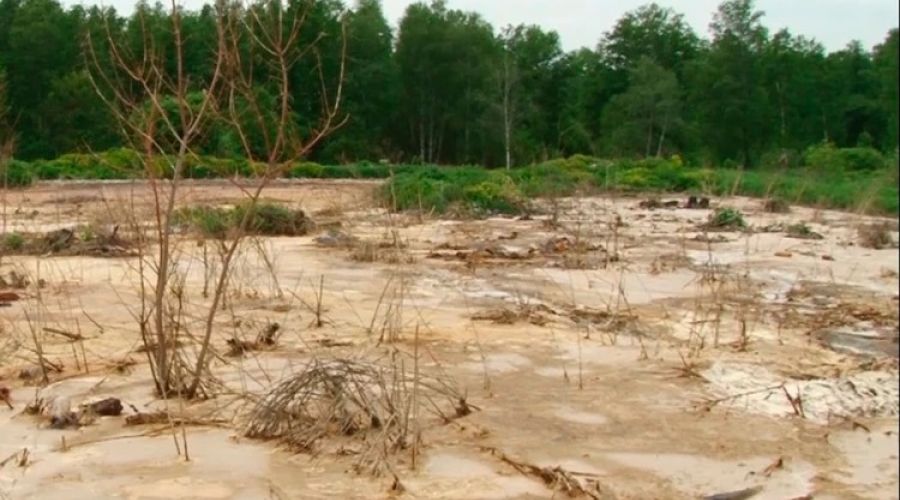 Поручение Бастрыкина не помогло «воскресить» уголовное дело о зловонном предприятии в Алтайском крае