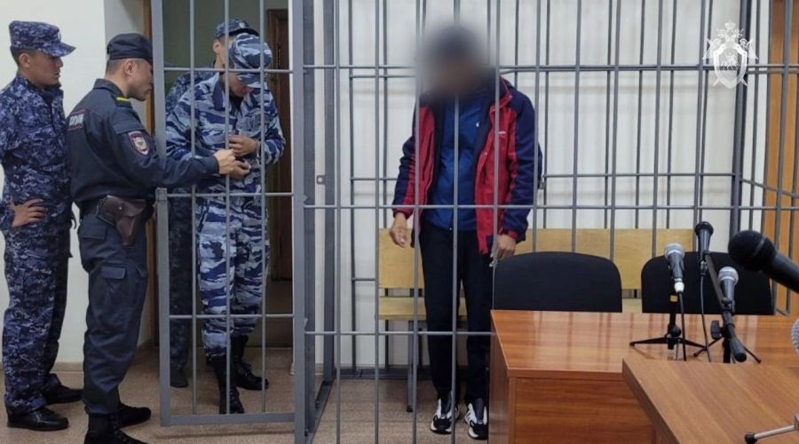 На Алтае мужчину осудили за жестоко покалеченную дочь сожительницы