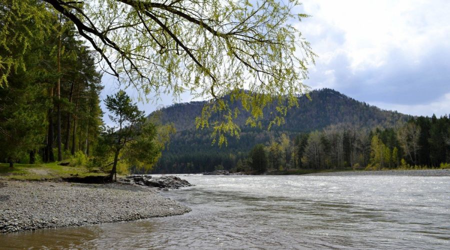 Собственники спорных сельхозземель у Катуни получили «добро» на их перевод в рекреацию
