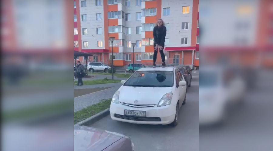 «Дикие скачки»