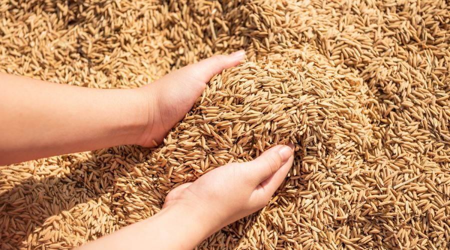 Группа «Продовольствие» развивает восточное направление и расширяет штат