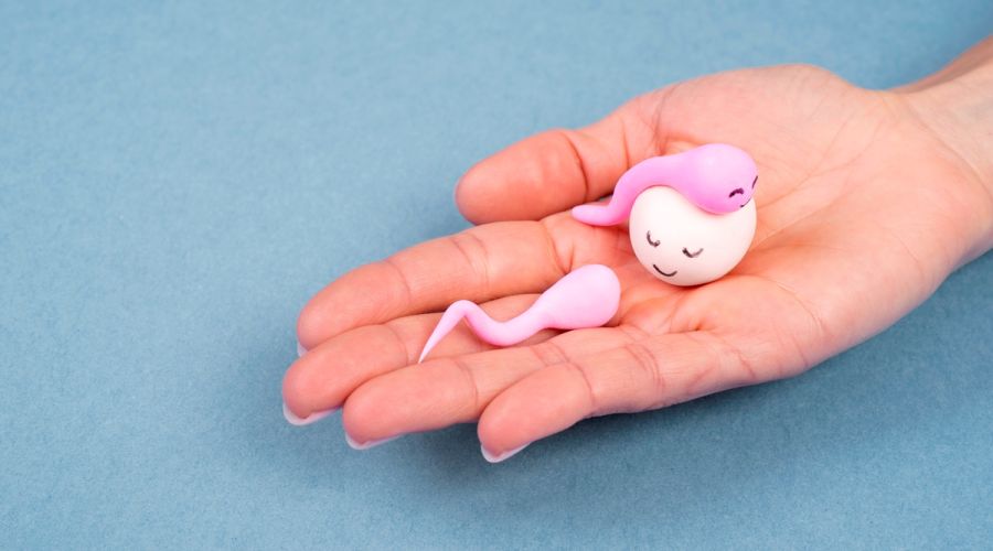 Алтайский коммунист выступил против запрета абортов на фоне предложения о «выкупе детей»