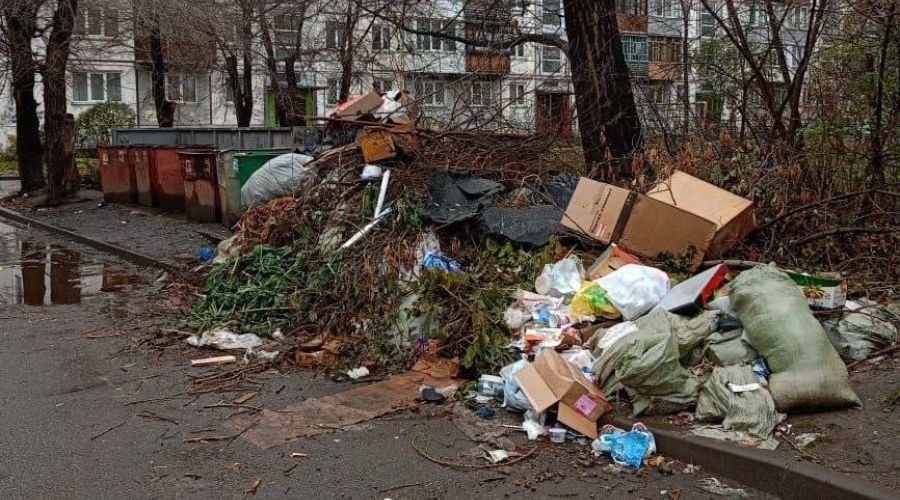 Регоператор прокомментировал приближение очередного «мусорного кризиса» в Бийске