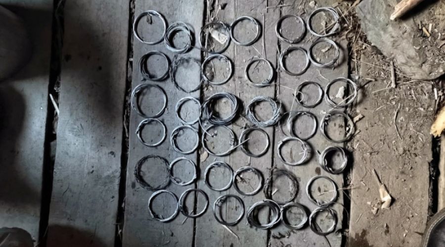 В алтайском заповеднике браконьеров застали за охотой на краснокнижного оленя