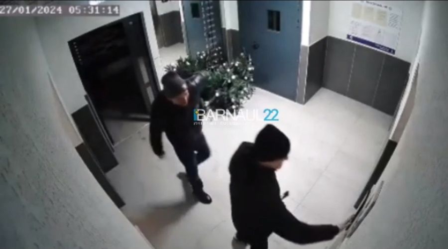 «Нападение» на елку в подъезде барнаульской многоэтажки «разрослось» до уголовного дела