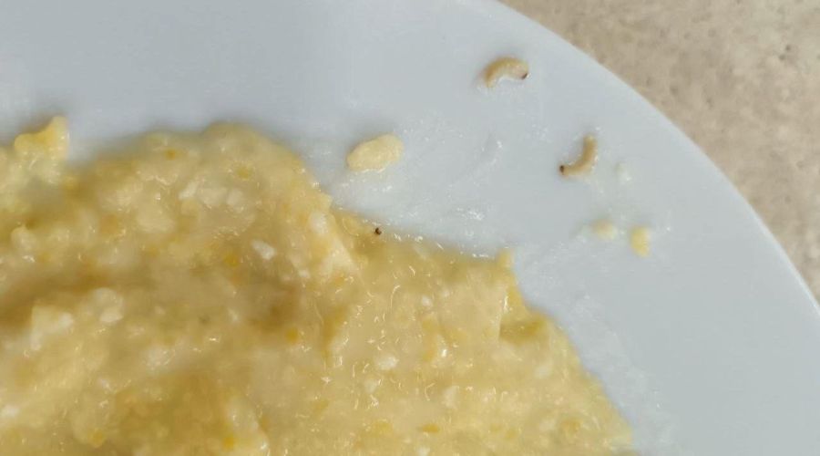 «Червивая» каша в алтайской кадетской школе заинтересовала следком и прокуратуру