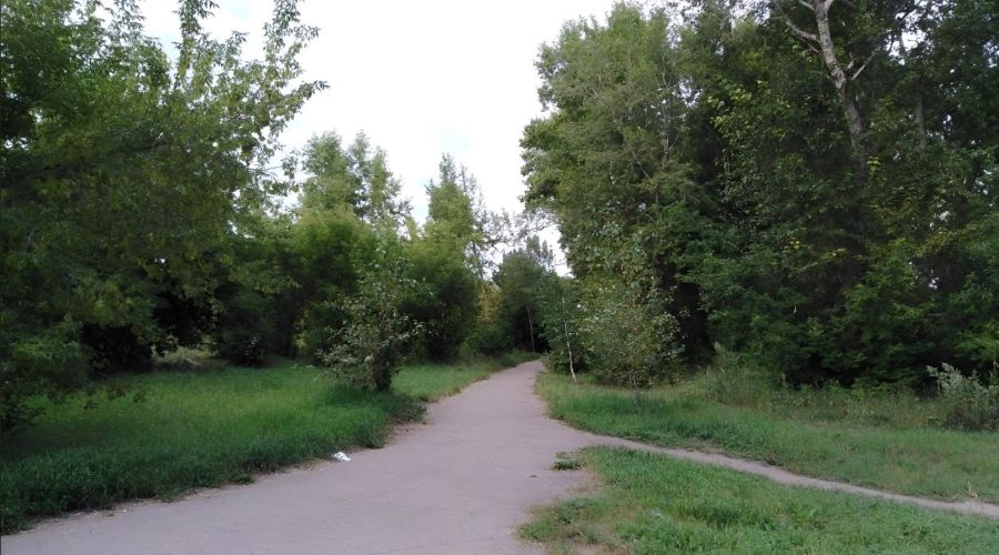 «Замаскированная декоммунизация?»: депутаты КПРФ возмутились попыткой переименовать барнаульский парк