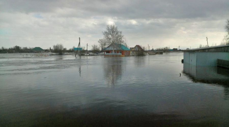 Власти Алтайского края предрекают масштабный весенний паводок