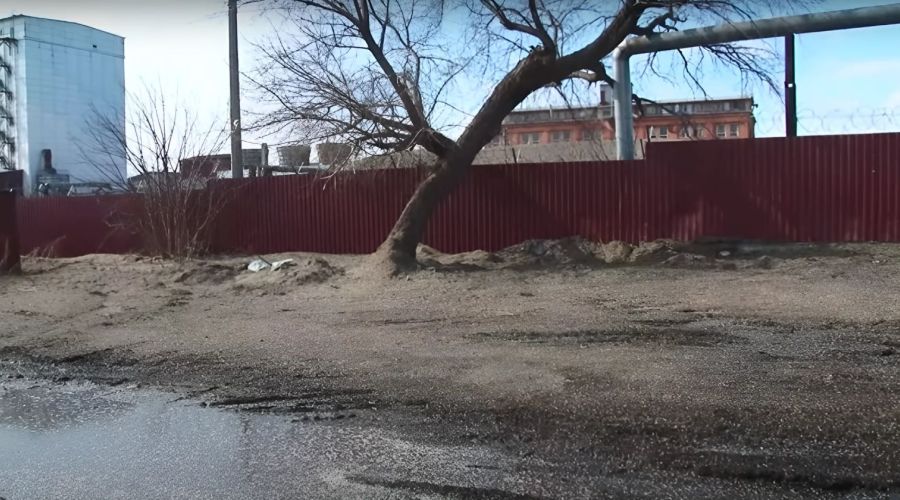 Жители окрестностей маслозавода в Бийске посетовали на «метели» из лузги