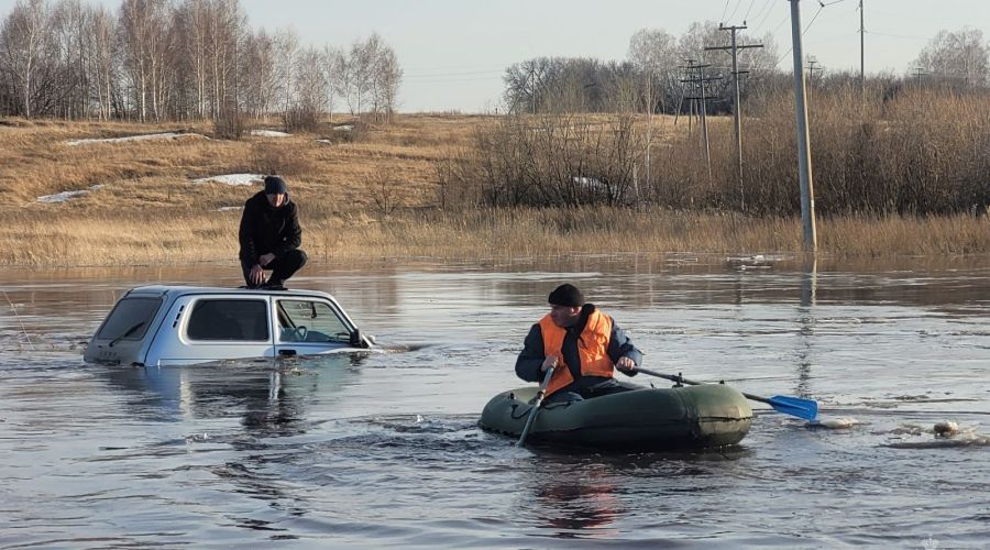Почти тысячу участков и сотни домов затопило во время паводка в Алтайском крае
