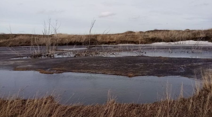 Чаша нетерпения: жители Усть-Калманского района выступили против новых захоронений жидких отходов