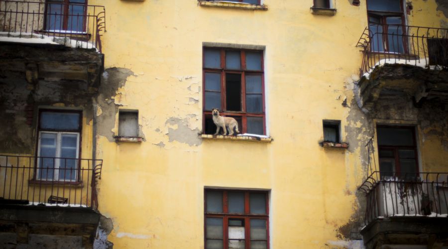 На расселение аварийного жилья в Алтайском крае выделили 500 млн рублей