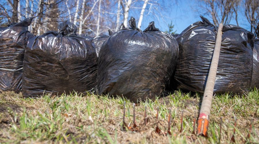 Депутаты против мусора