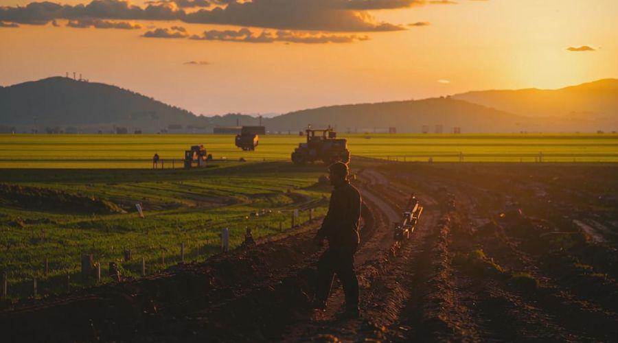 Аграрии спрогнозировали предстоящий сезон в Алтайском крае после начала полевых работ
