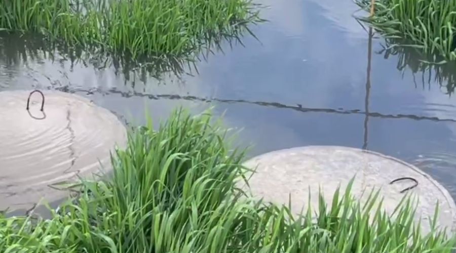 Барнаульские общественники хотят обратиться в прокуратуру из-за слива нечистот в Обь