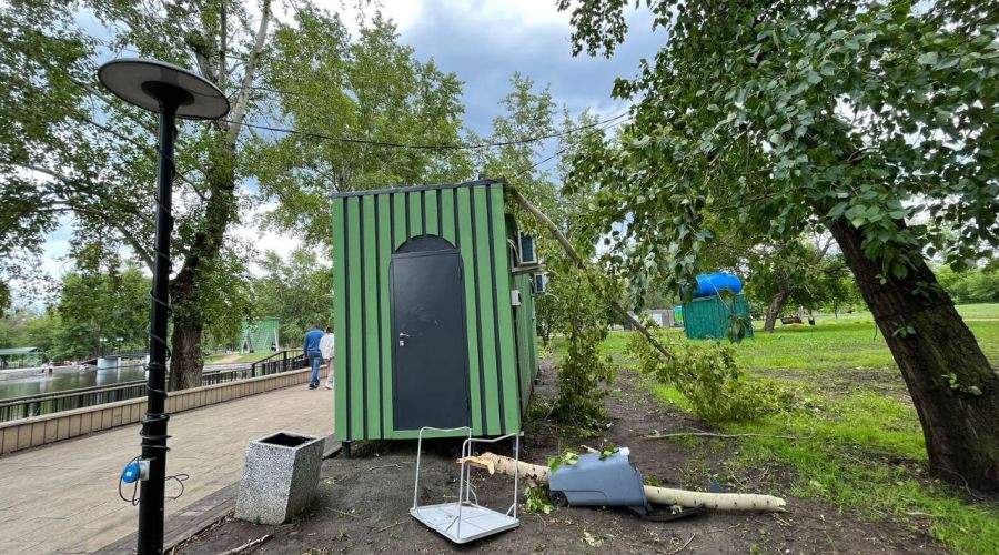 В Барнауле девушка получила травму позвоночника из-за упавшего дерева в парке