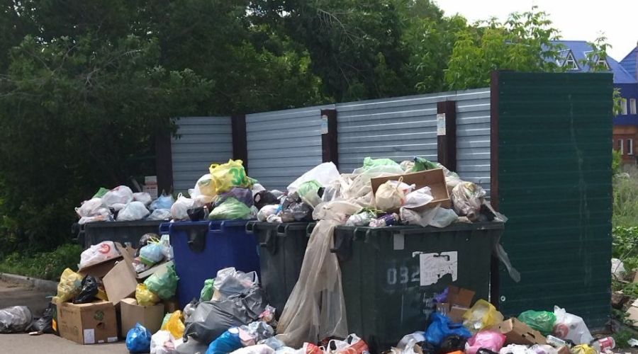 Разгребают вручную: в соцсетях мэра Рубцовска «развернули штаб» по разрешению мусорного кризиса