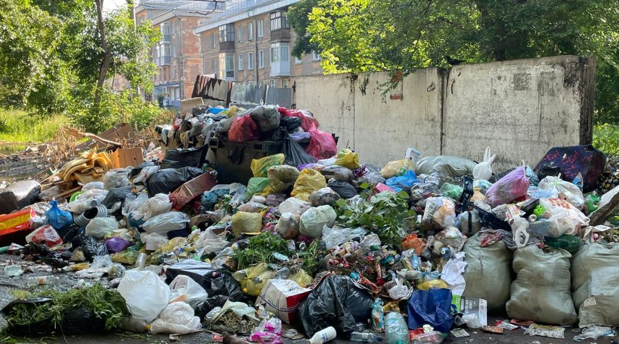 Регоператор поделился своим взглядом на мусорный кризис в Рубцовске