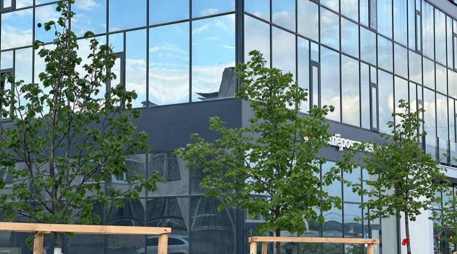 Возле статусного бизнес-центра в Барнауле появилась липовая аллея