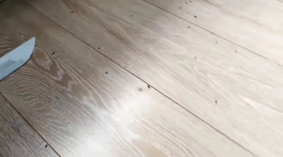 В Барнауле смерть соседа создала санитарную проблему для целого подъезда