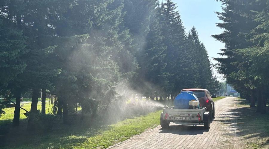 Губернатор высказался о борьбе с кровососами в Барнауле