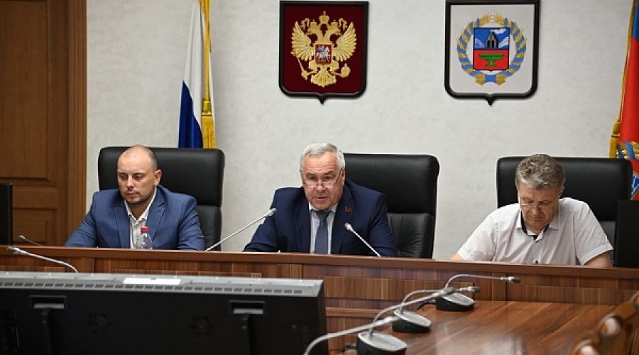 Алтайские депутаты продолжают попытки поставить краевые лесхозы на коммерческие рельсы
