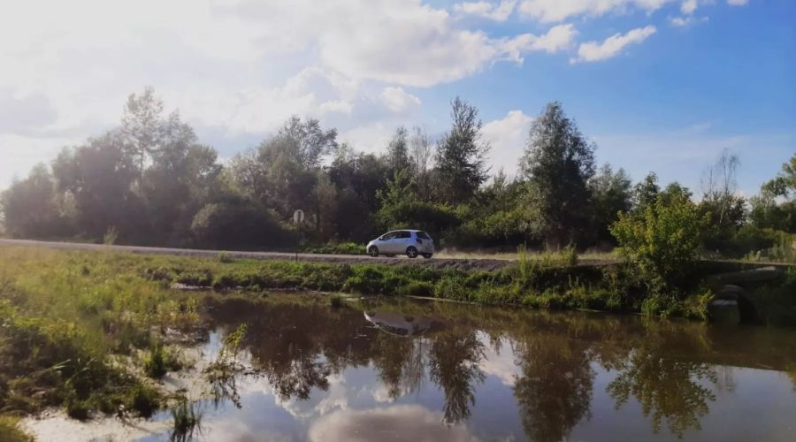 Бобры-диверсанты вставляют палки в колеса бийским дорожникам