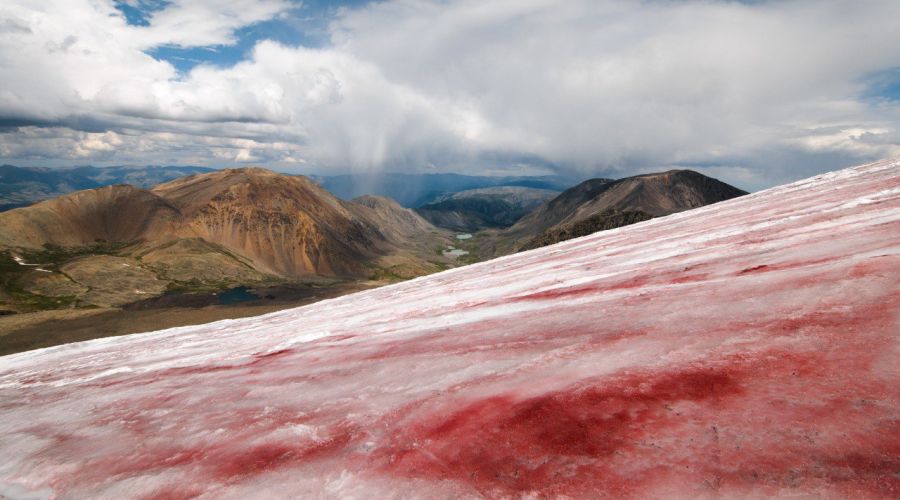 Ученые объяснили «окровавленный» ледник в Горном Алтае