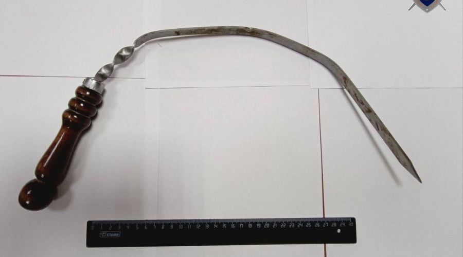 Житель Алтая «насадил» товарища на шампур и стал фигурантом уголовного дела